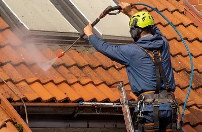 Démoussage et hydrofuge de toiture à Lachamp-Ribennes